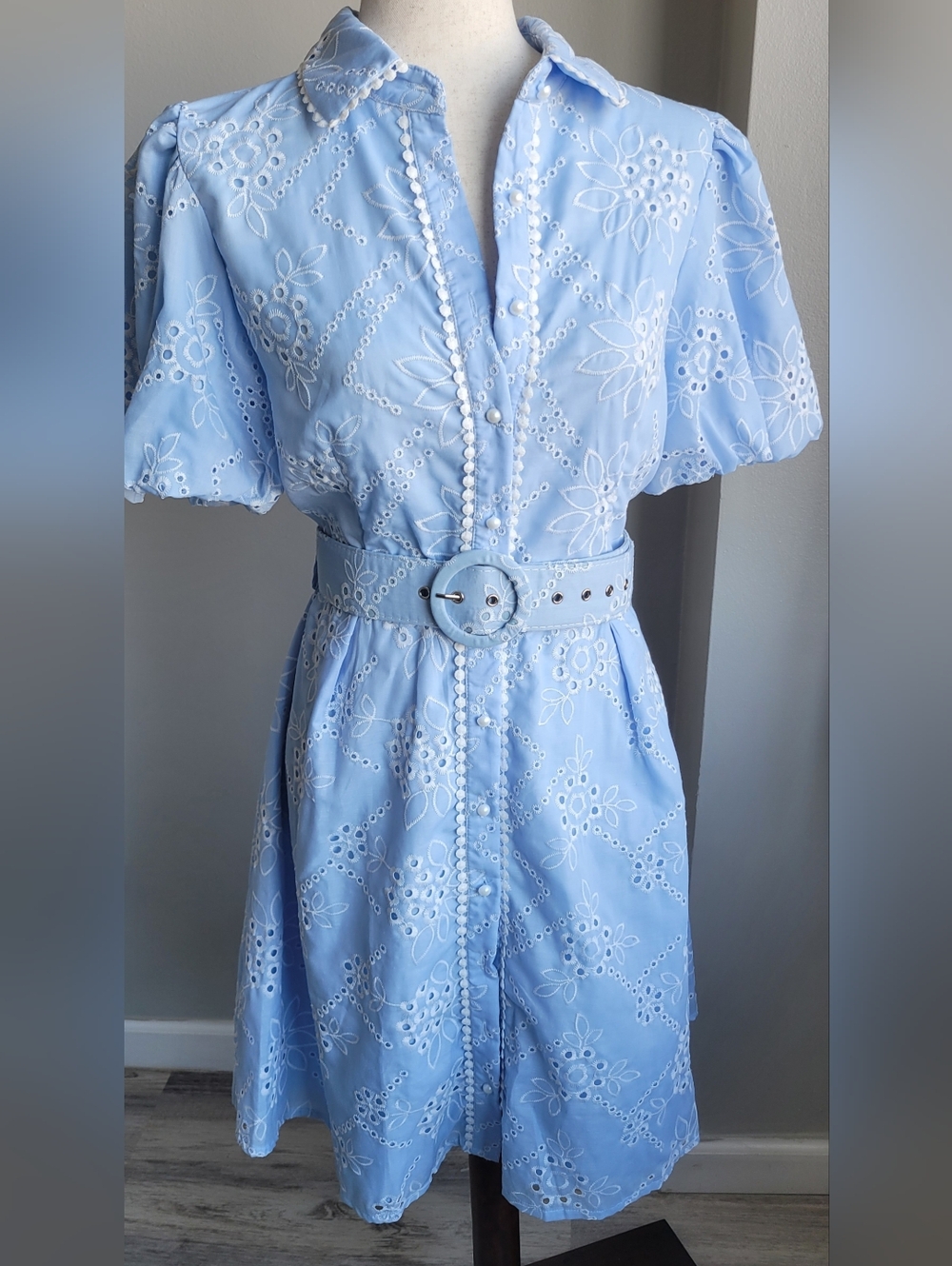 Baby Blue Eyelet Embroidered  Dress Puff Sleeve Button Front Belt Cottagecore
